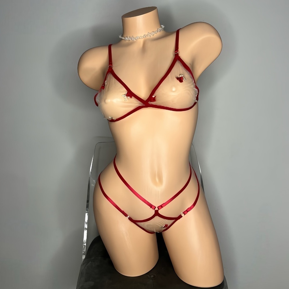 Burgundy Sheer Cut Out Two Piece Lingerie Set